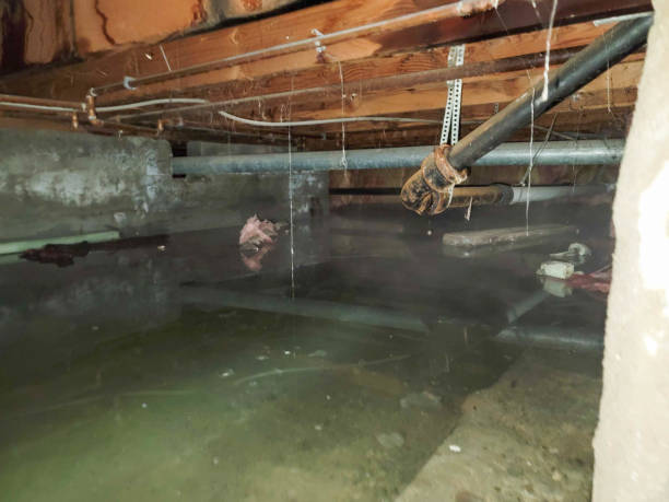 Best 24-hour water damage restoration  in Henryville, IN