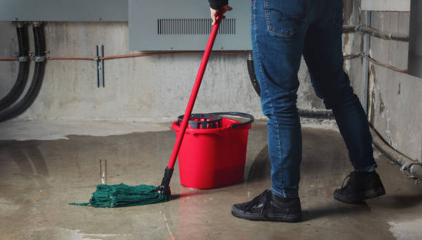 Best Ceiling water damage repair  in Henryville, IN