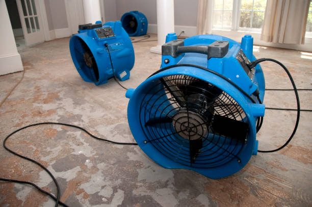 Best Local water damage restoration  in Henryville, IN